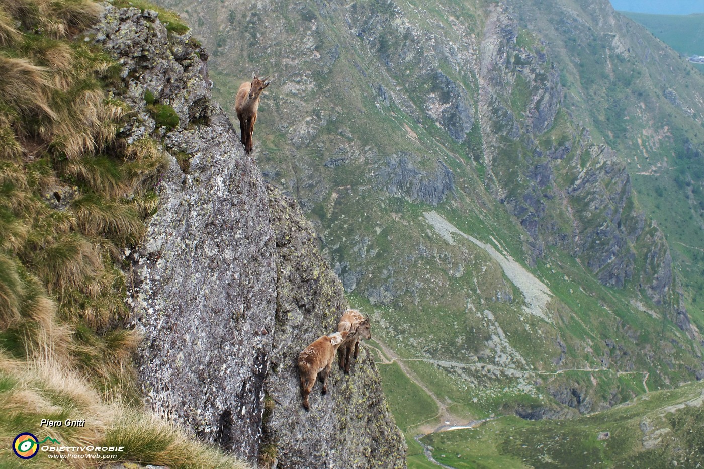 23 Acrobati sulle rocce.JPG